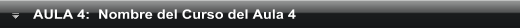 Acceso al Aula N&deg; 4